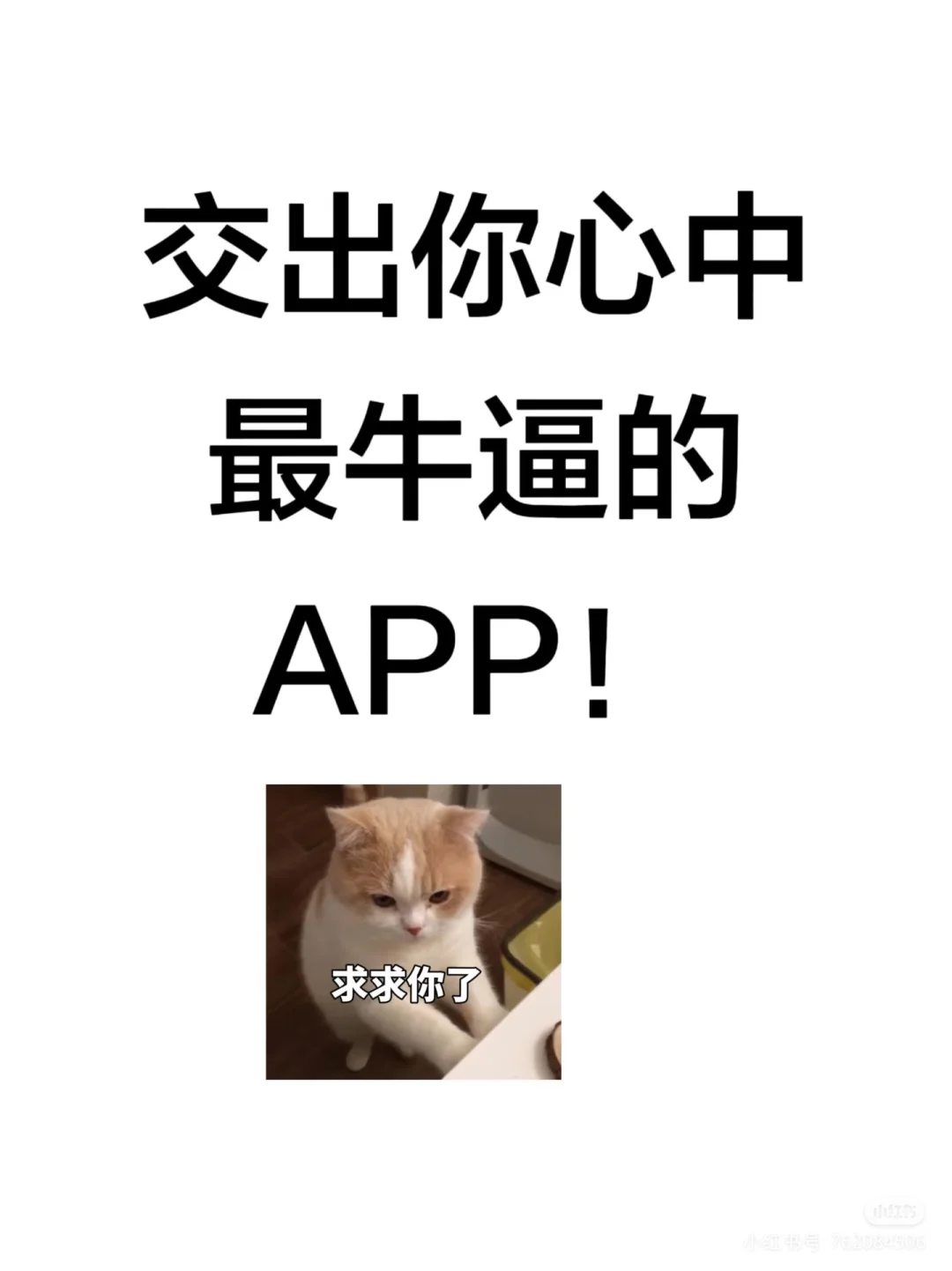 请介绍您心中宝藏app