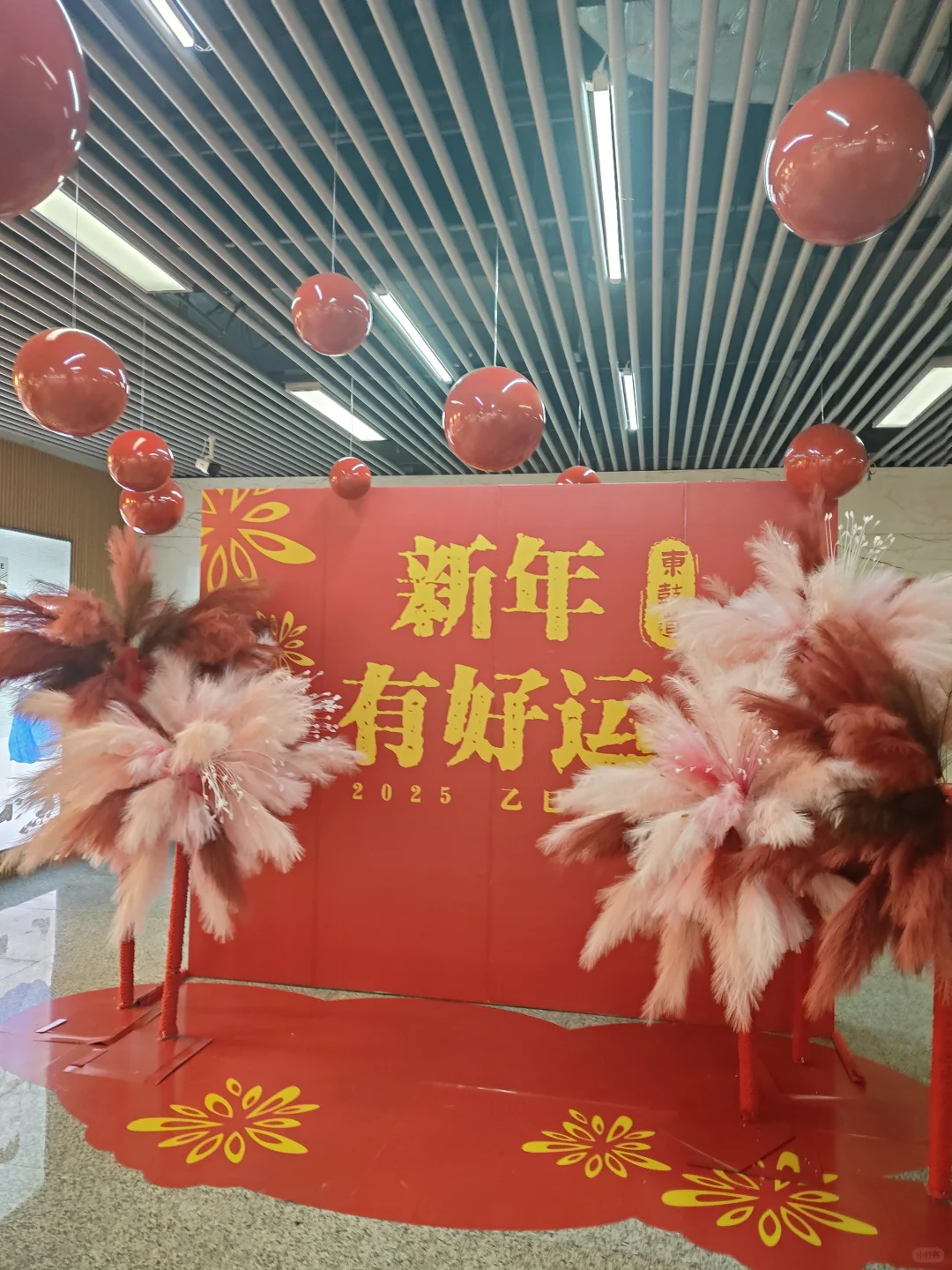 打下你们对春节档电影的评分❗️