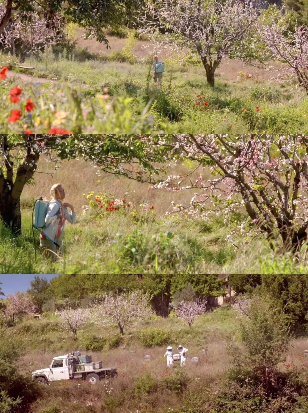 挚爱人生电影✨无人能及🎬