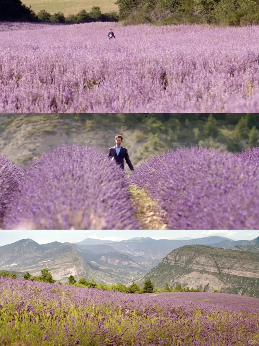 挚爱人生电影✨无人能及🎬