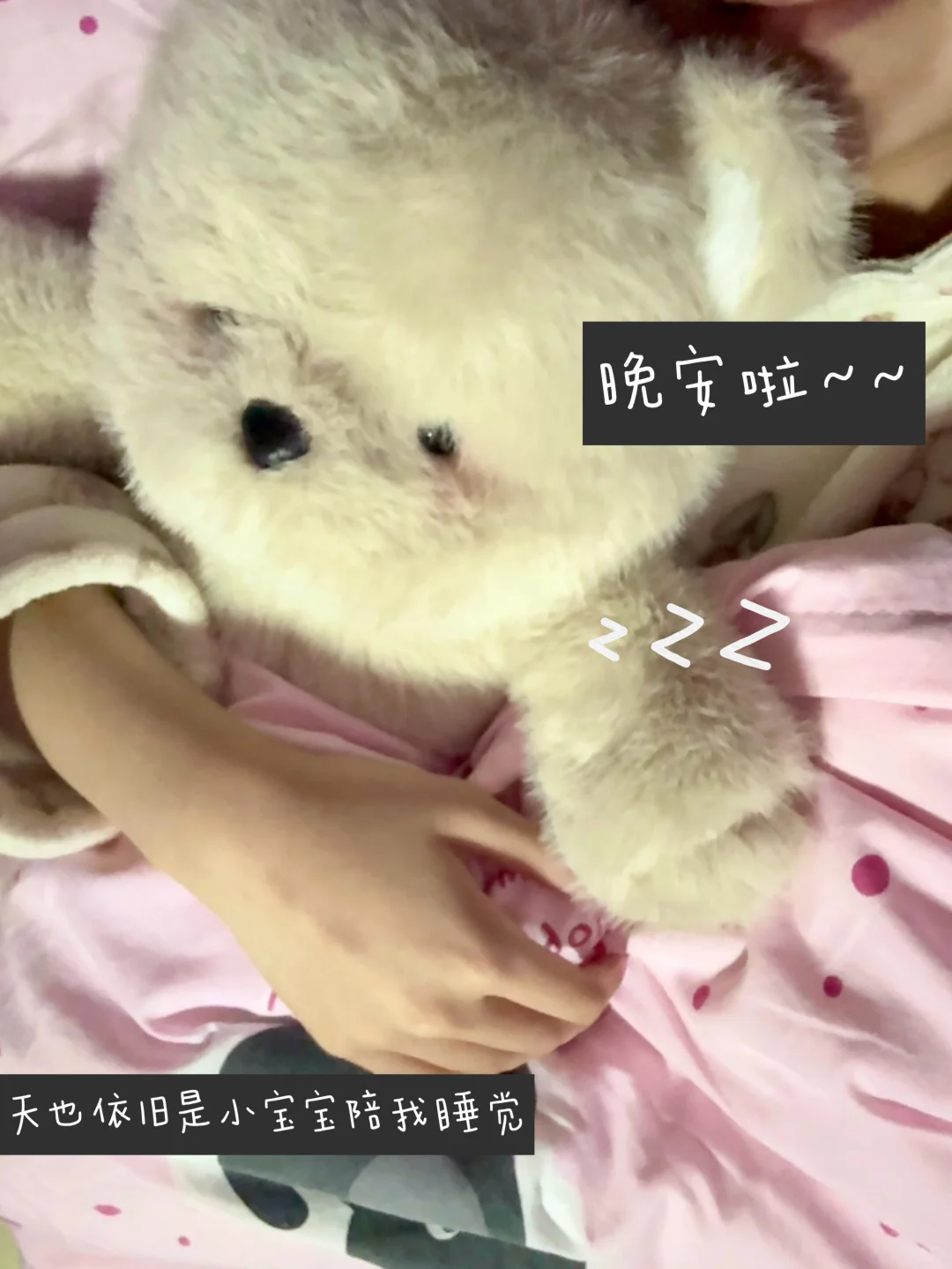 ccnu女大plog第3️⃣天｜开学日活力满满～