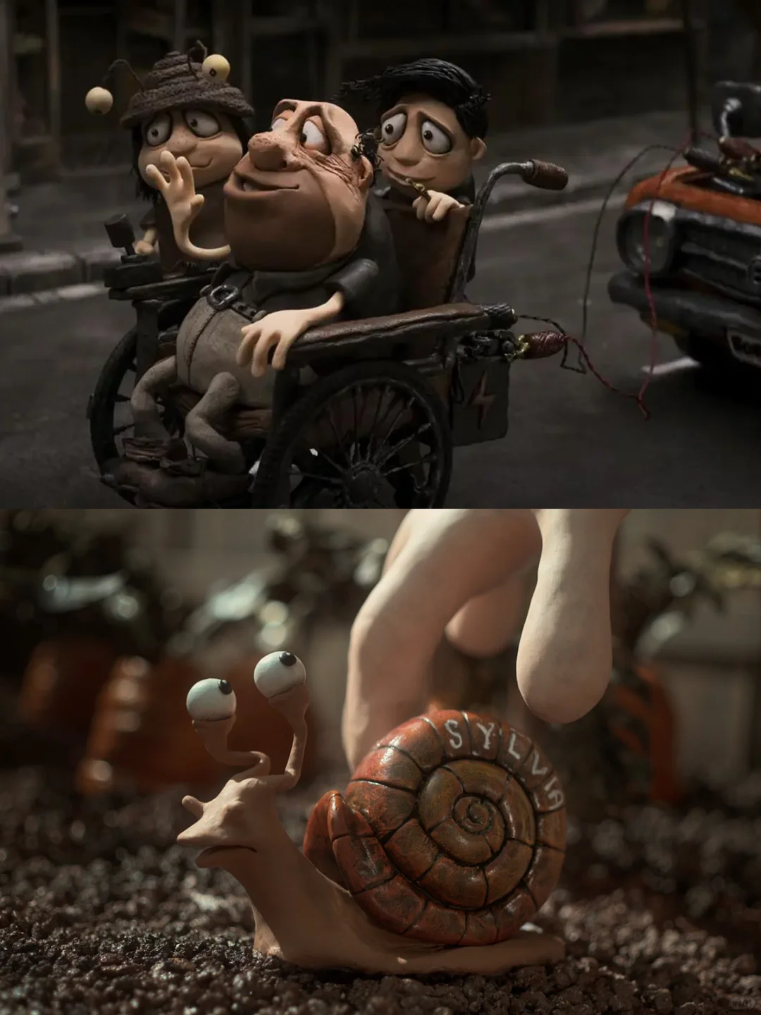 8.6分定格动画电影🐌《蜗牛回忆录》今日上线❗