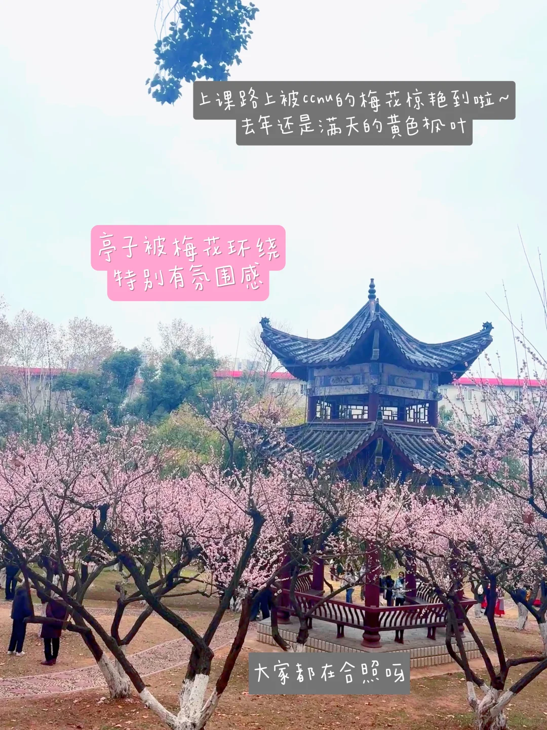 ccnu女大plog第3️⃣天｜开学日活力满满～