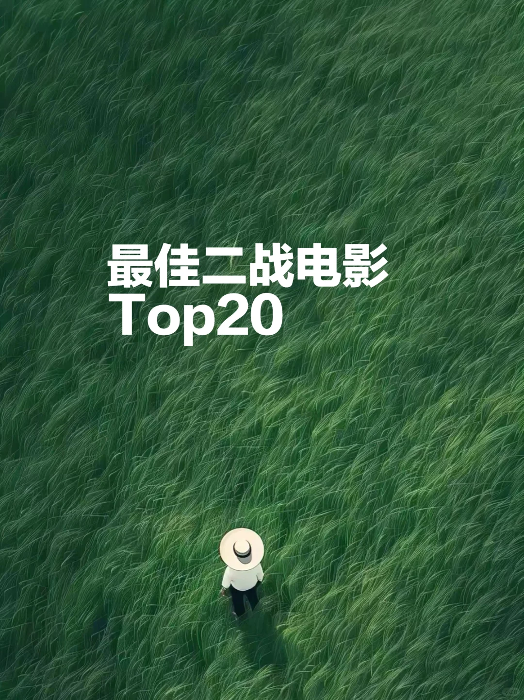 最佳二战电影Top20