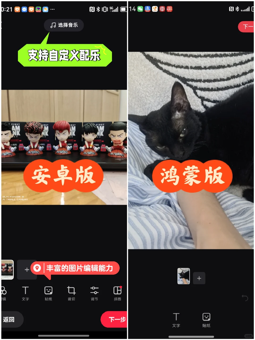 小红书鸿蒙版，体验大不同！📱✨