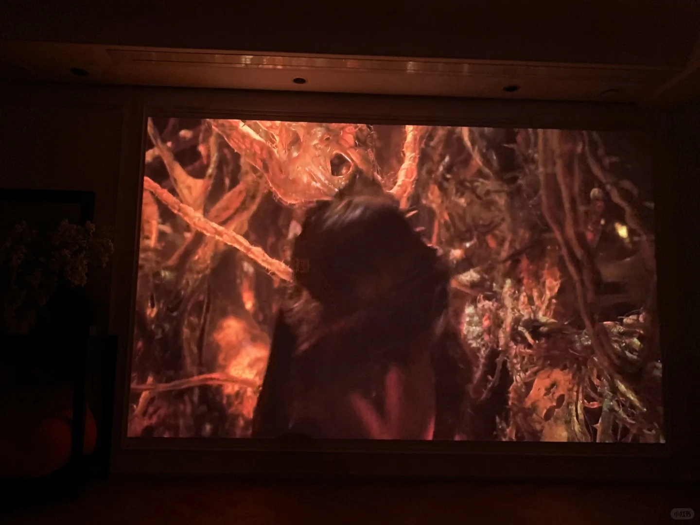 都给我去看👀 2025年度爽片