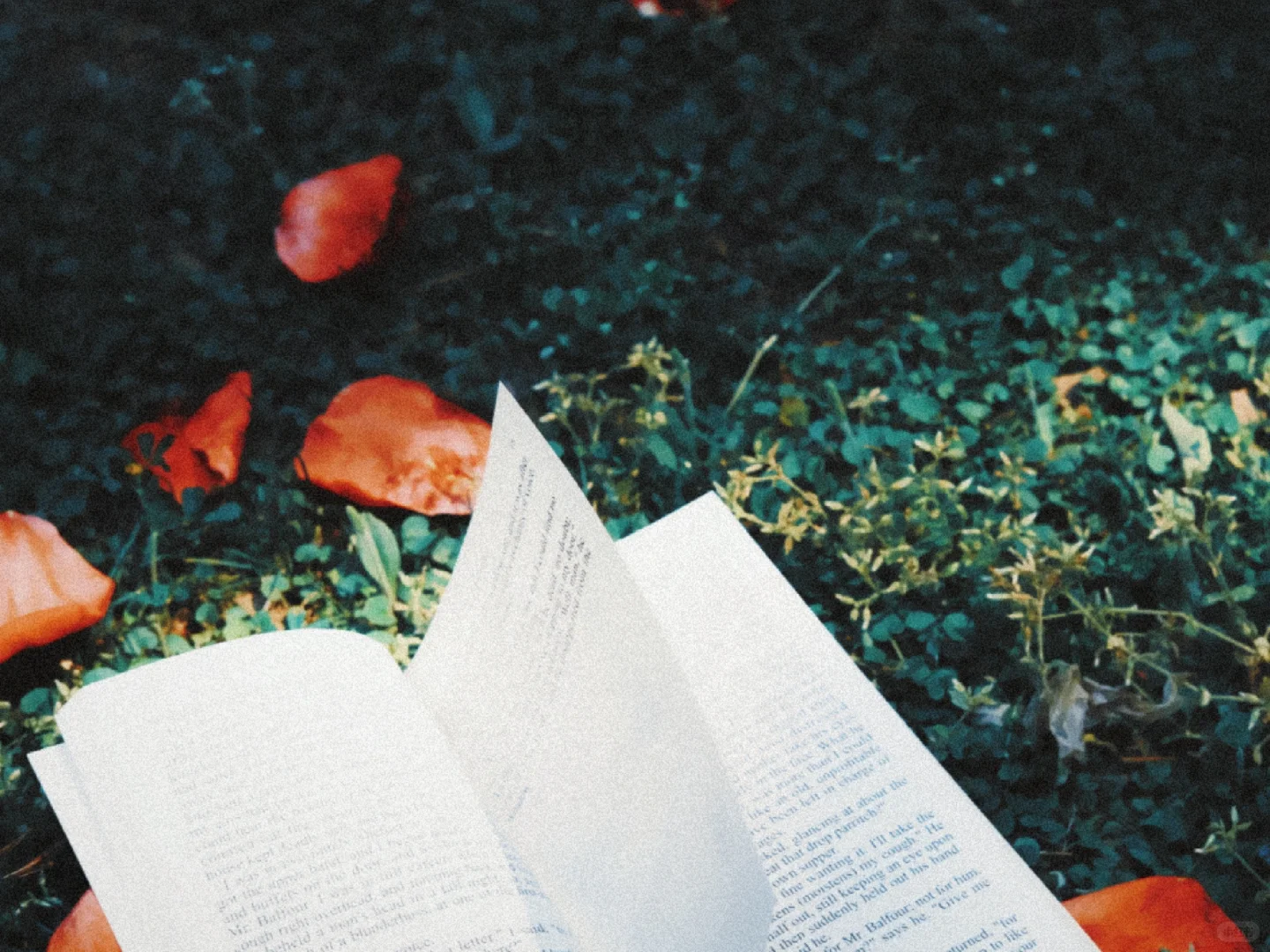 我宣布！咱安卓有自己的dazz！