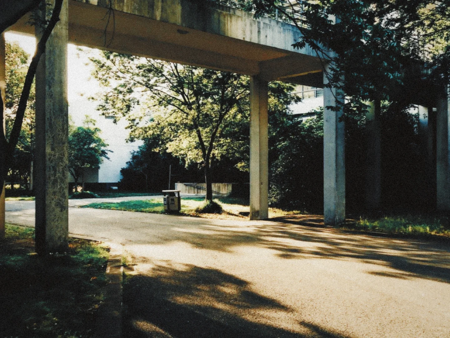 我宣布！咱安卓有自己的dazz！