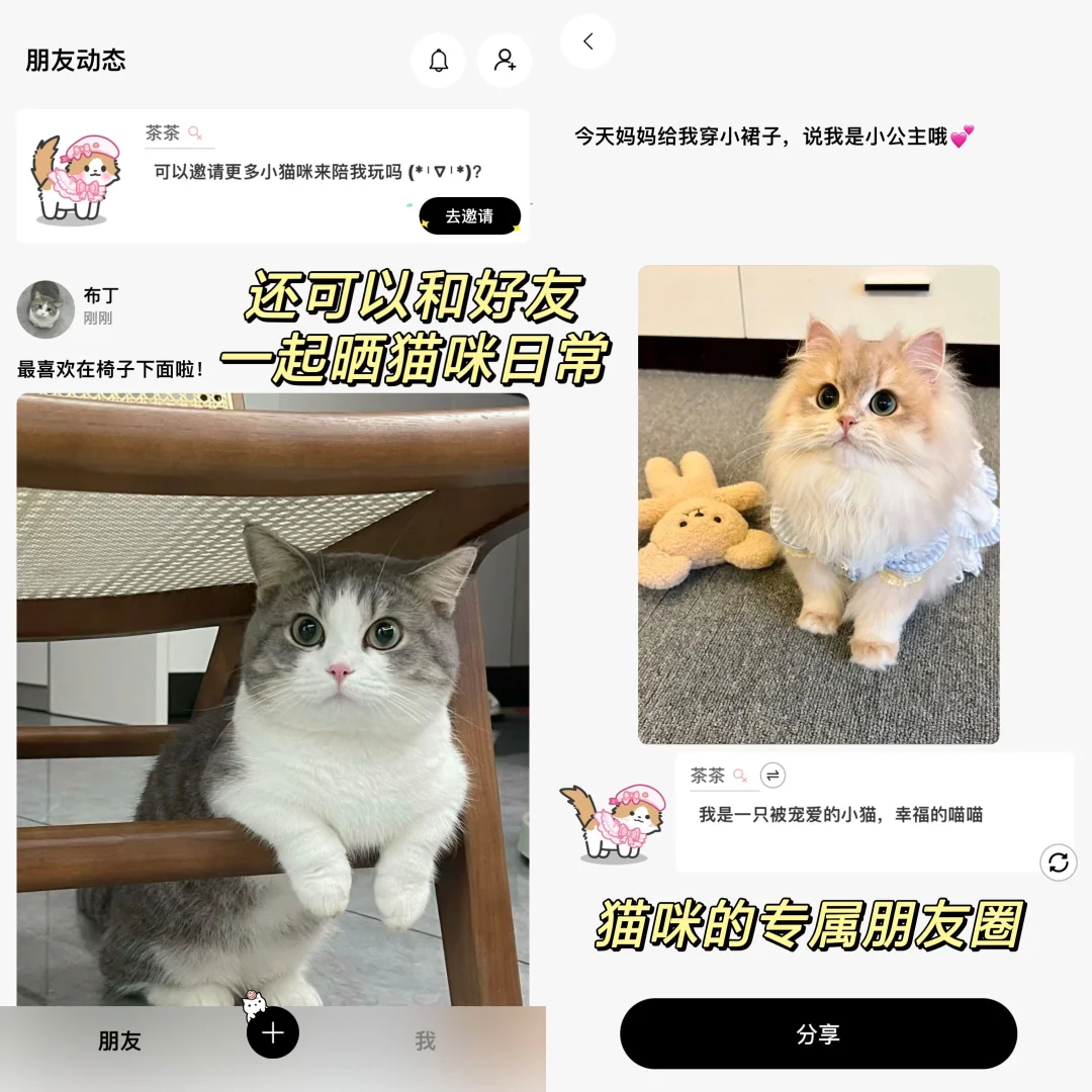 天呐‼️手机上居然也可以云养猫咪啦！