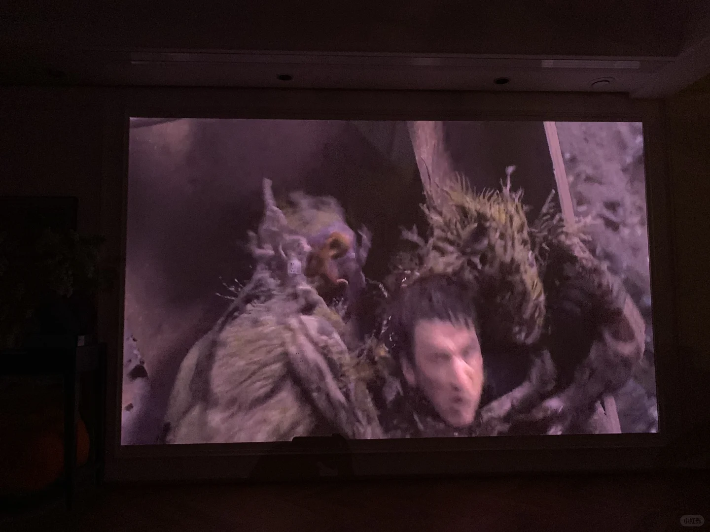 都给我去看👀 2025年度爽片