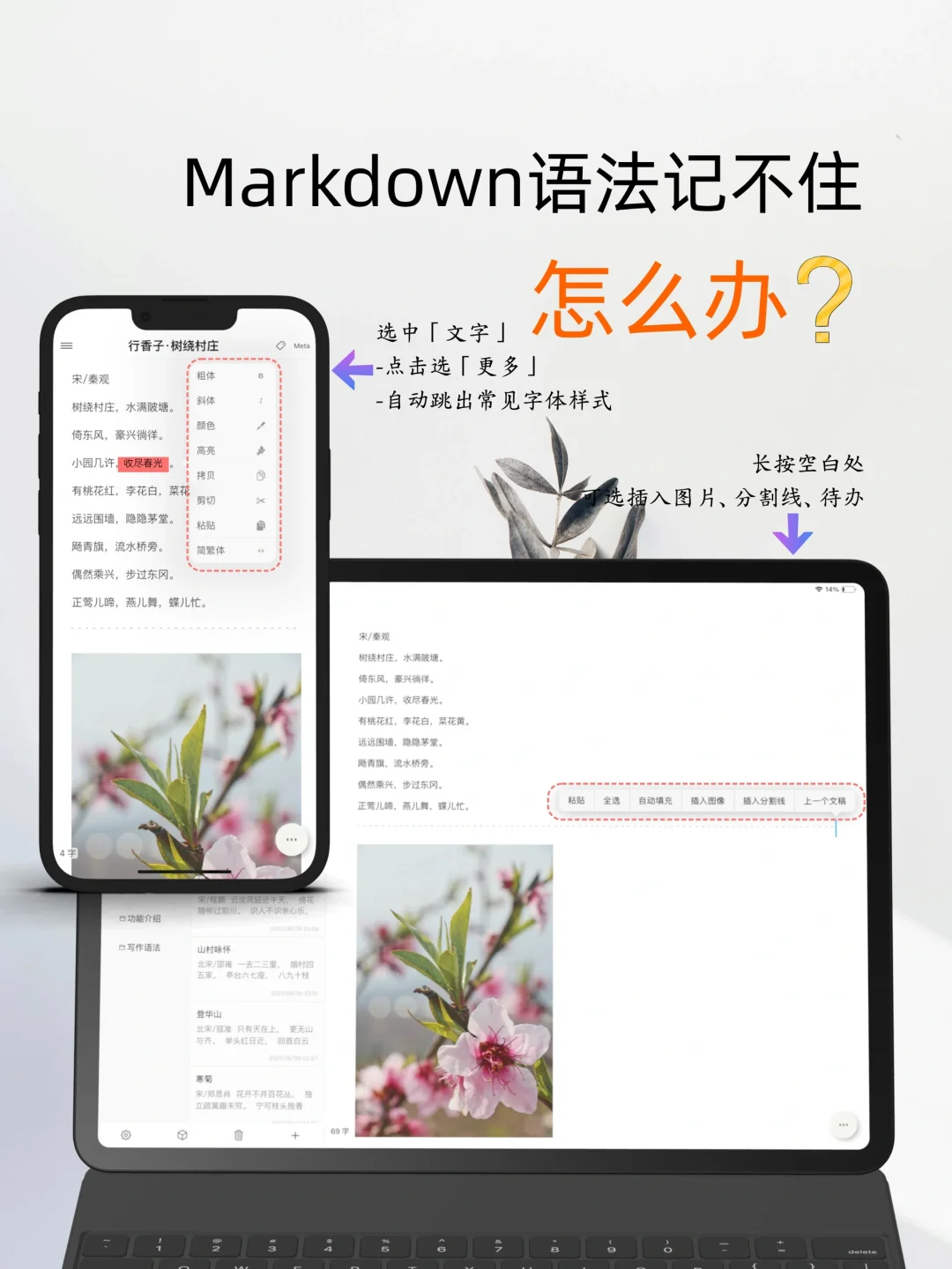 写作APP｜极简又高效的码字软件，为中文优化