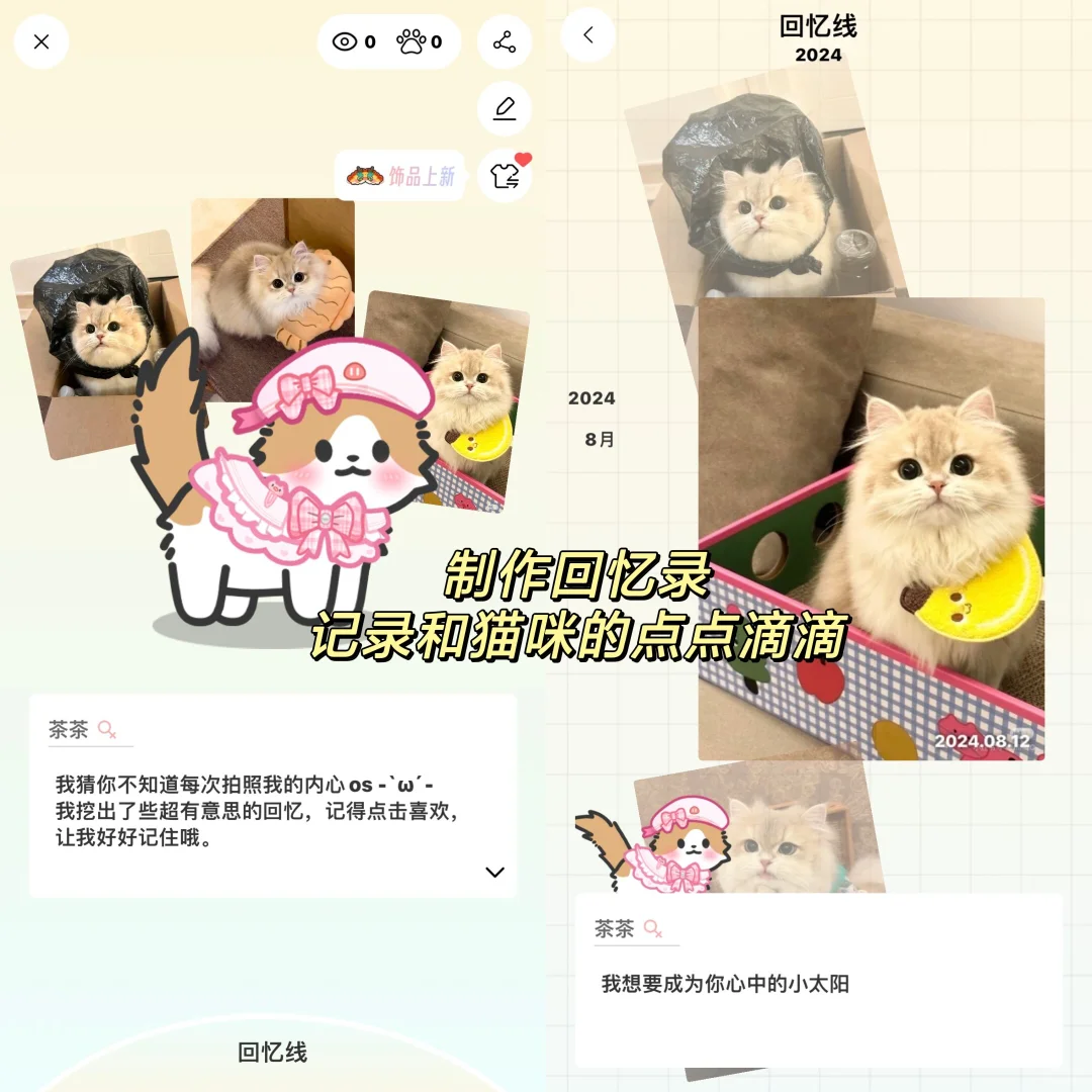 天呐‼️手机上居然也可以云养猫咪啦！