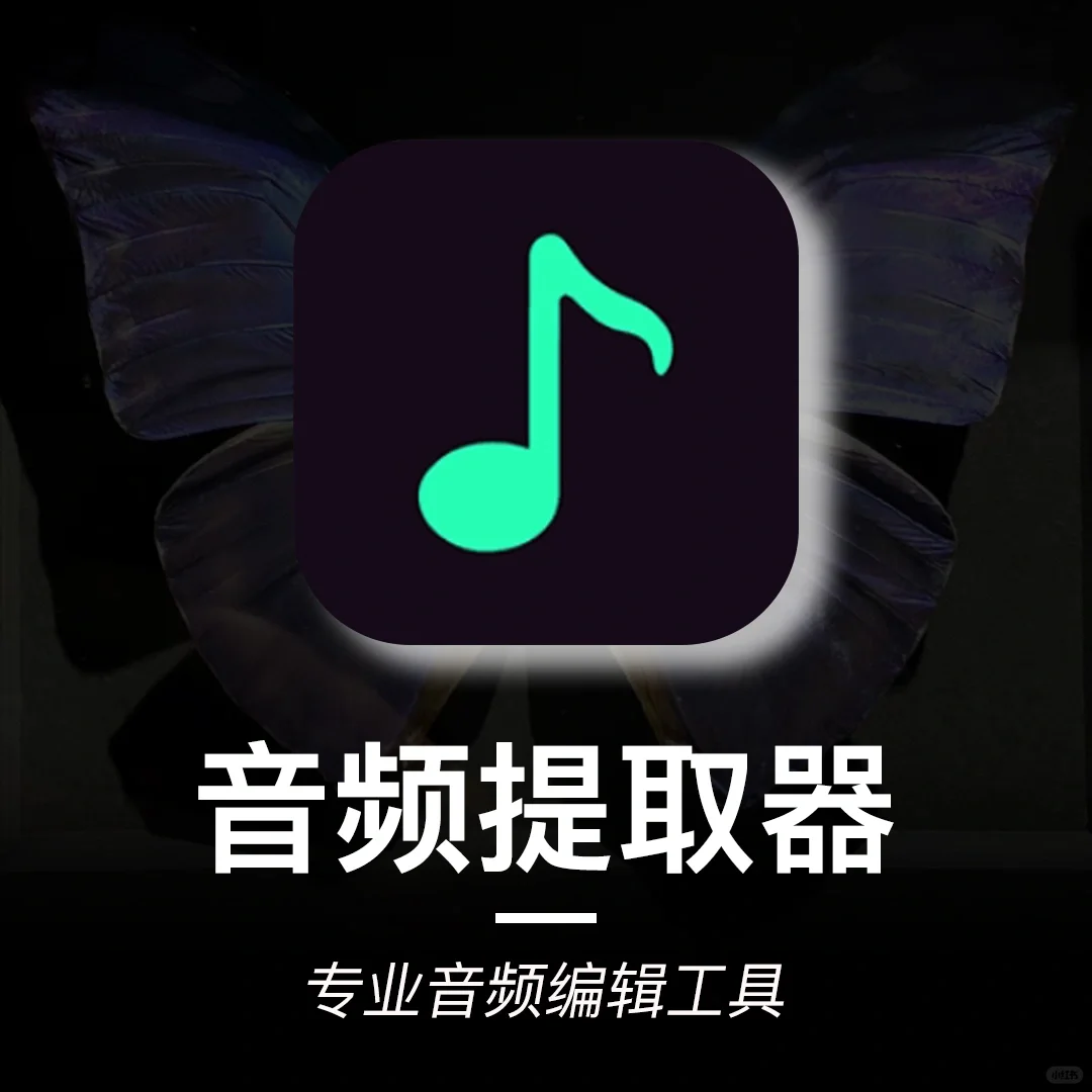 48.音乐🎶伴奏即时提取‼️宝藏APP下了么