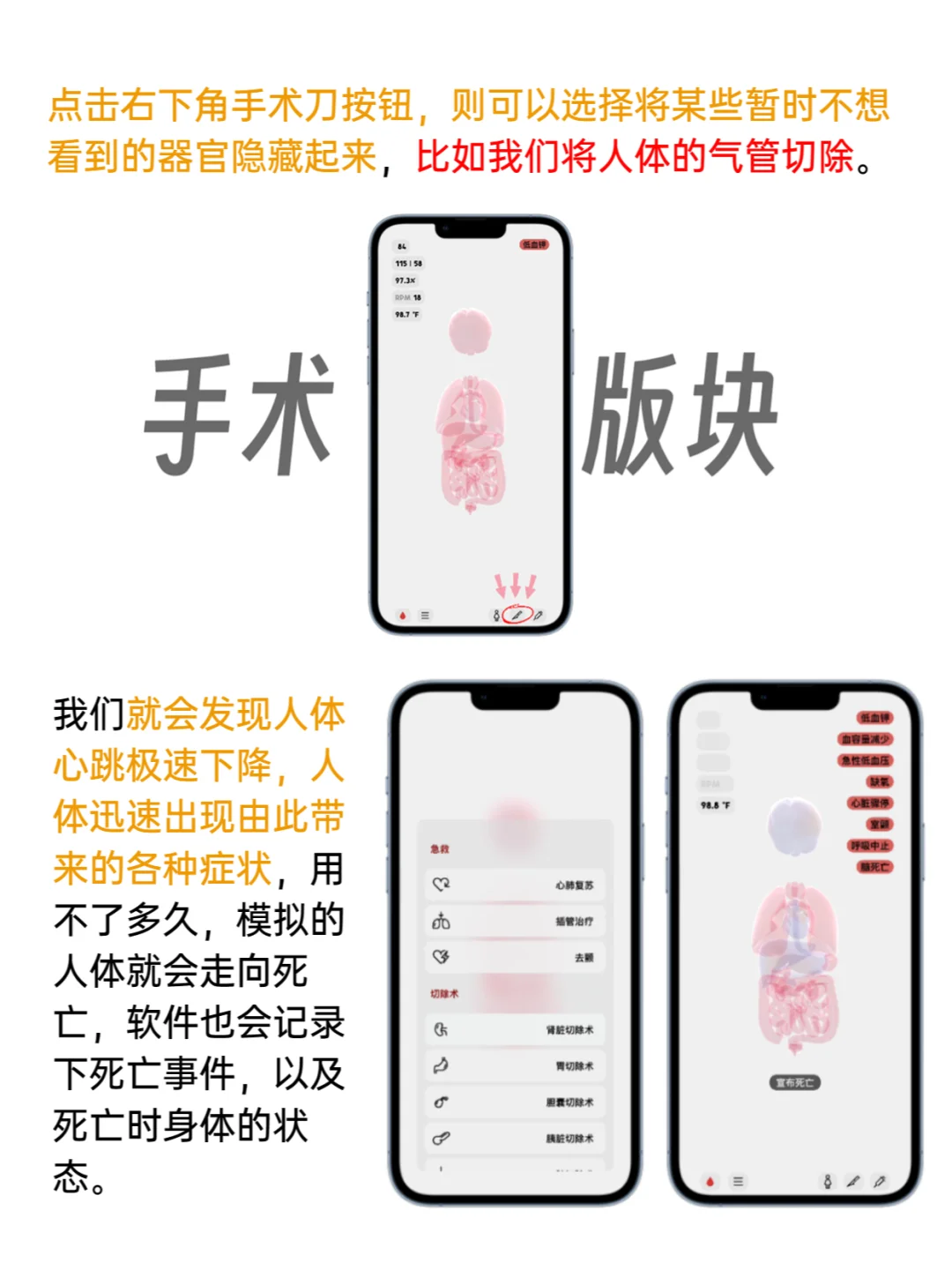 导师夸我真会玩儿！医学人学习娱乐两手抓？