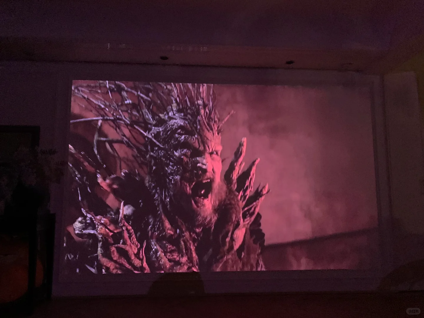 都给我去看👀 2025年度爽片