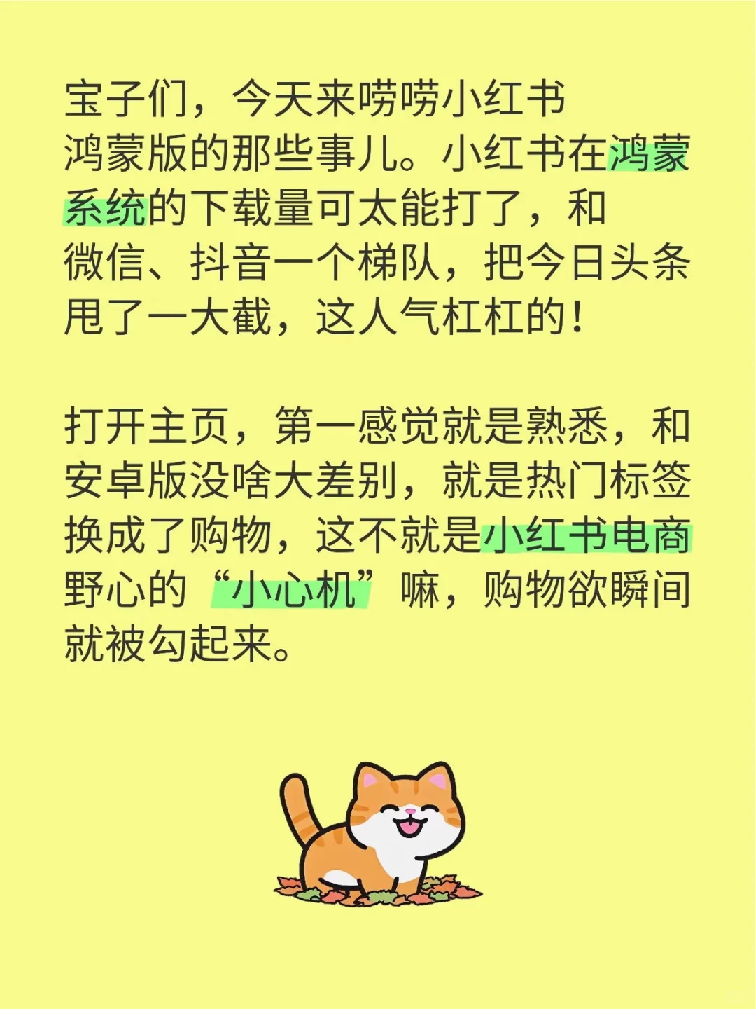 小红书鸿蒙版，体验大不同！📱✨