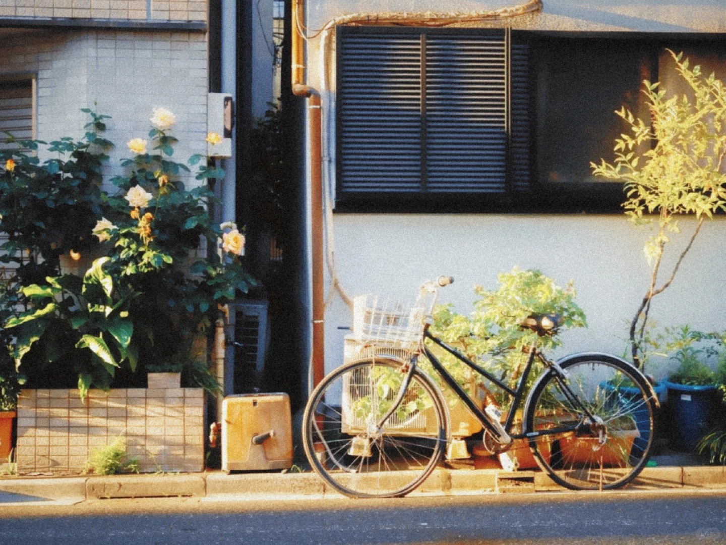 我宣布！咱安卓有自己的dazz！