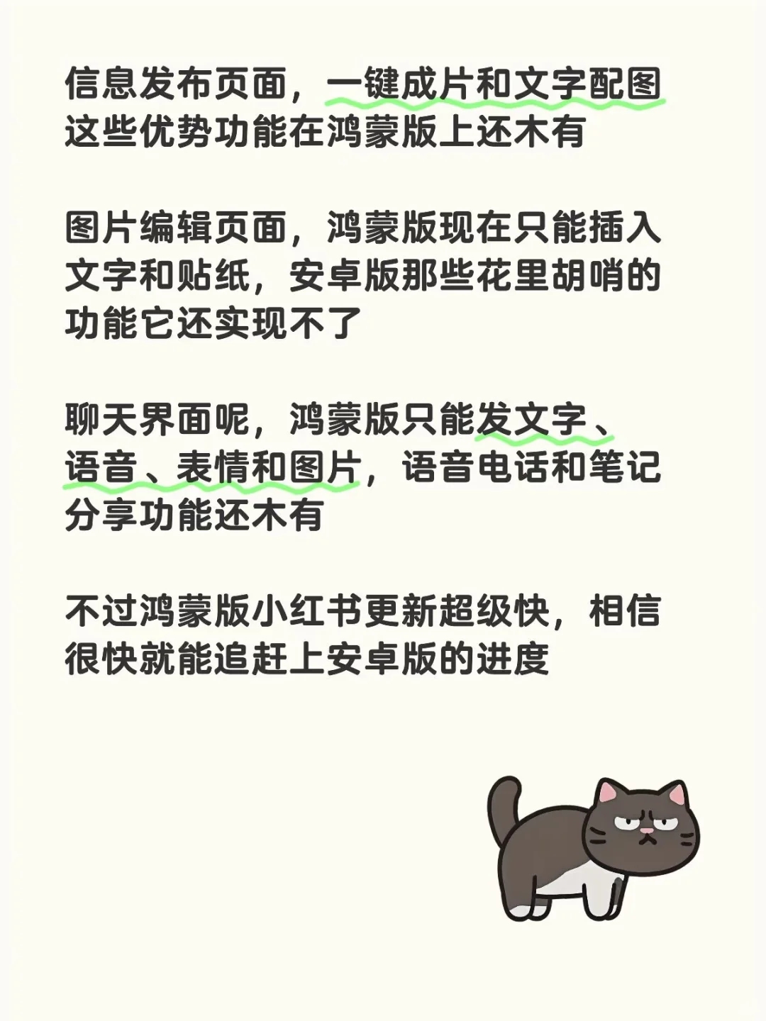 小红书鸿蒙版，体验大不同！📱✨