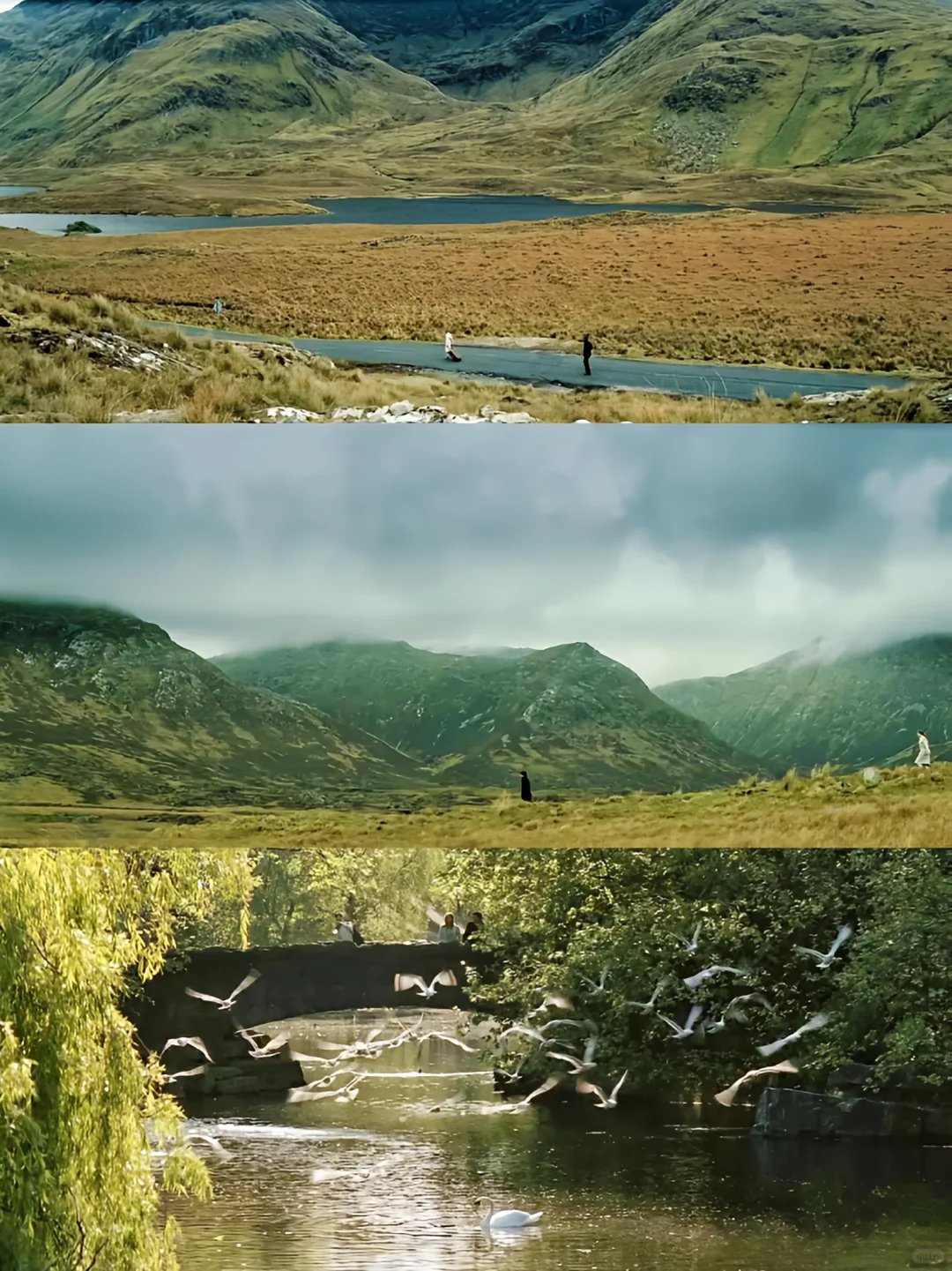 笑疯啦🤣已N刷，心情不好时必看的电影❗