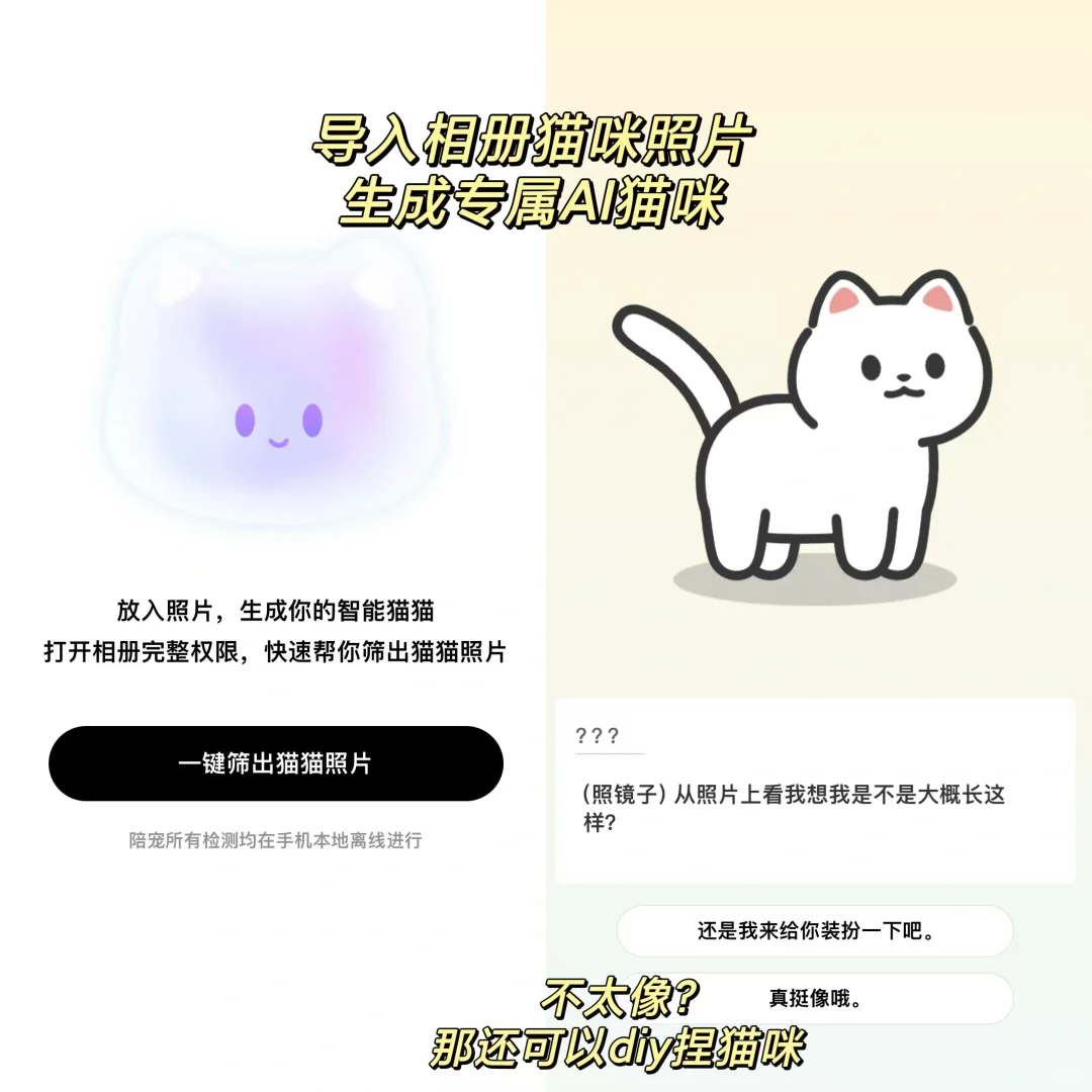 天呐‼️手机上居然也可以云养猫咪啦！