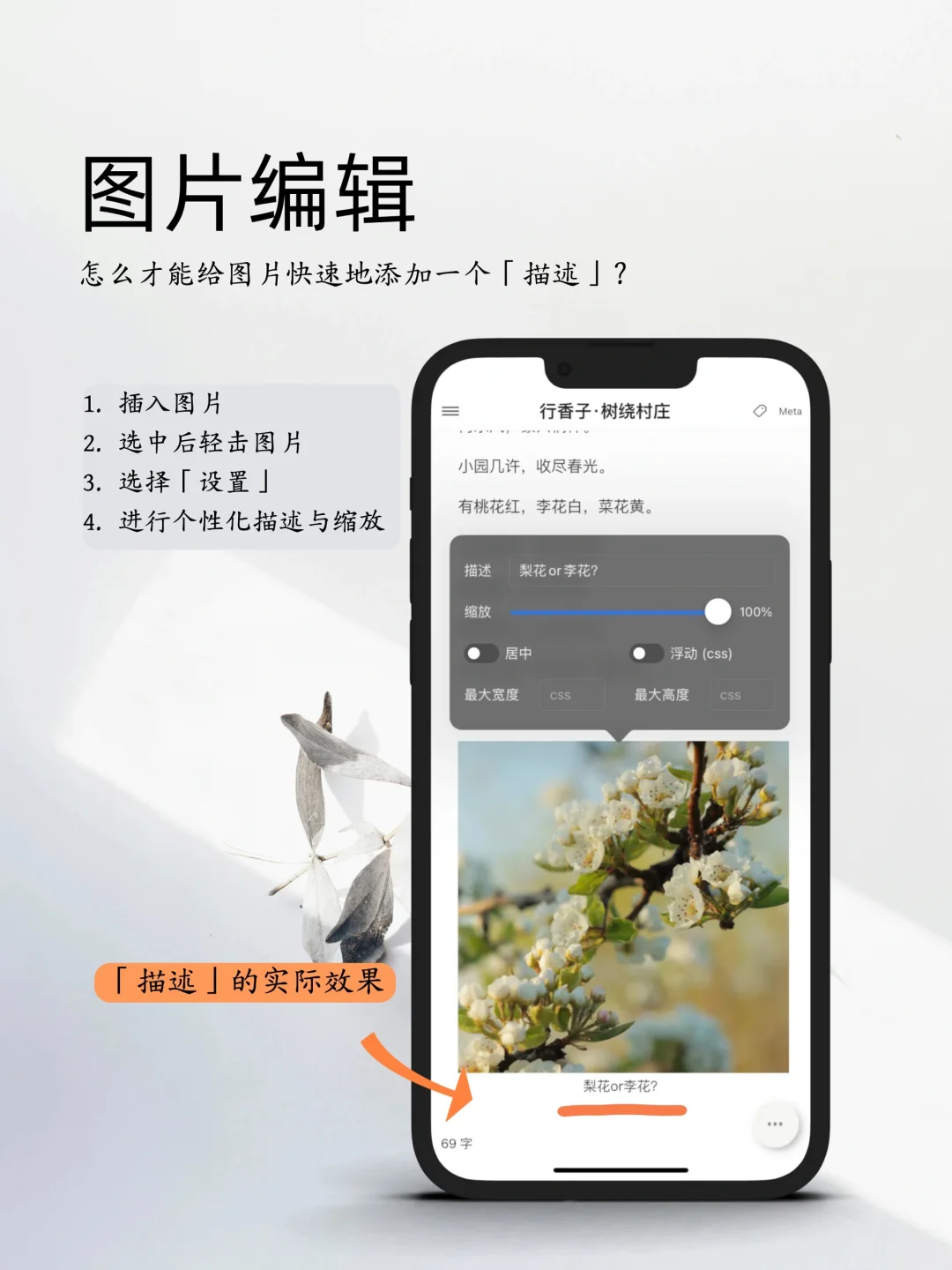 写作APP｜极简又高效的码字软件，为中文优化