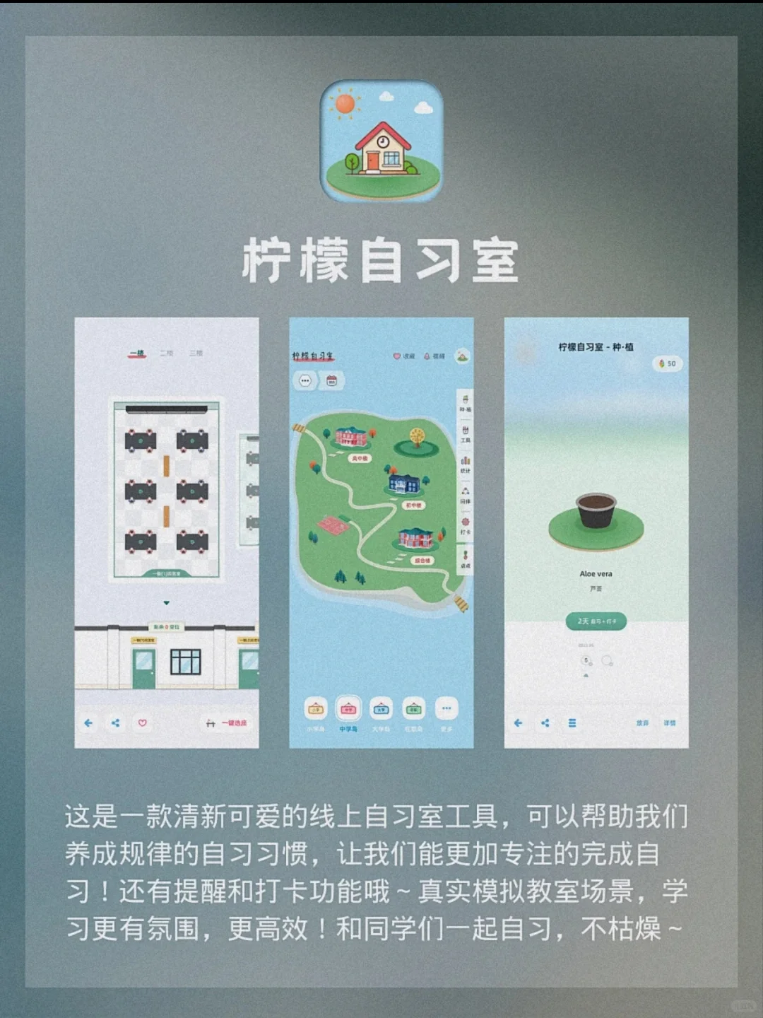 小众高质量APP分享🎉