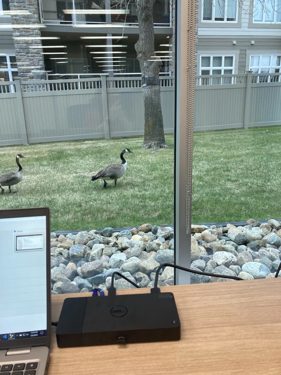 🇨🇦加拿大找对口技术工作？你也可以！