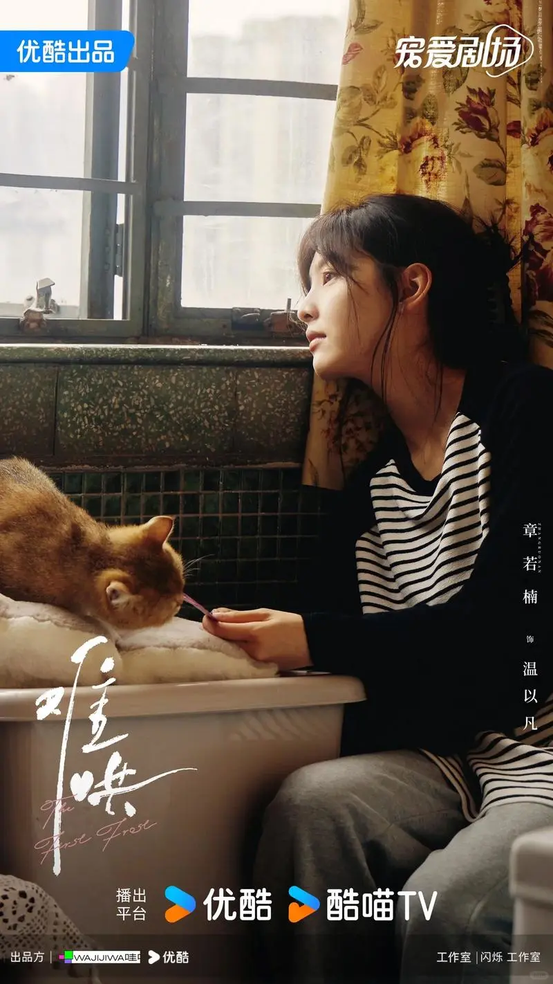 免费追剧app，看难哄六姊妹漫城