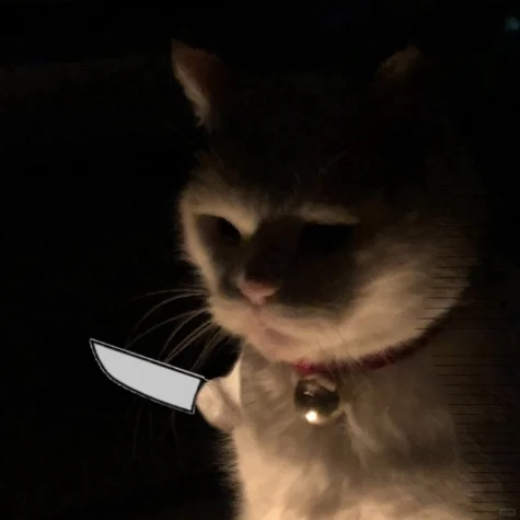 mac电脑有的软件用着用着突然崩溃了怎么办