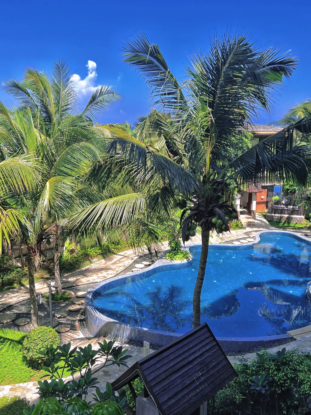 懒人出门旅行有它就够了！！