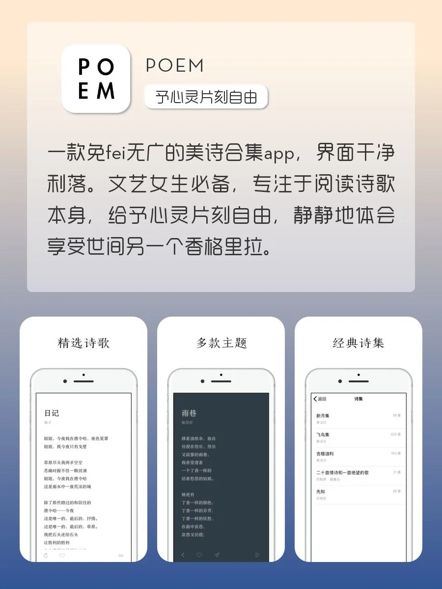 小众高级感APP‼️