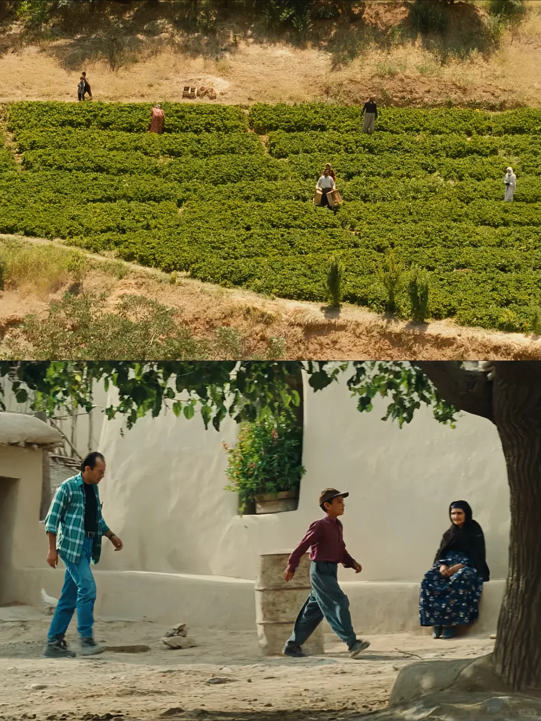 😭想告诉全世界这部电影真的太绝了‼️‼️