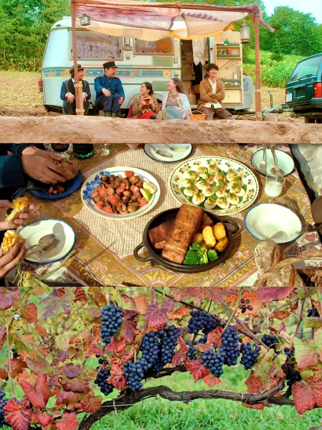 😭反复看了好几遍的电影‼️巨解压治愈❗