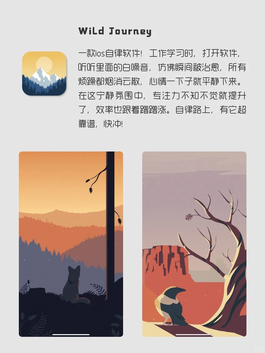 剩1%🔋电量也要拥有APP‼️