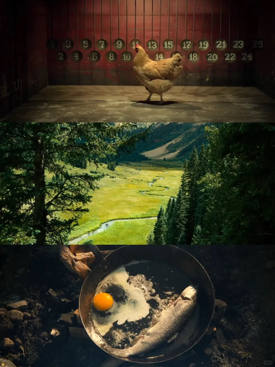 首播9.6分❗️❗️安利所有人都去看❗️❗️😭