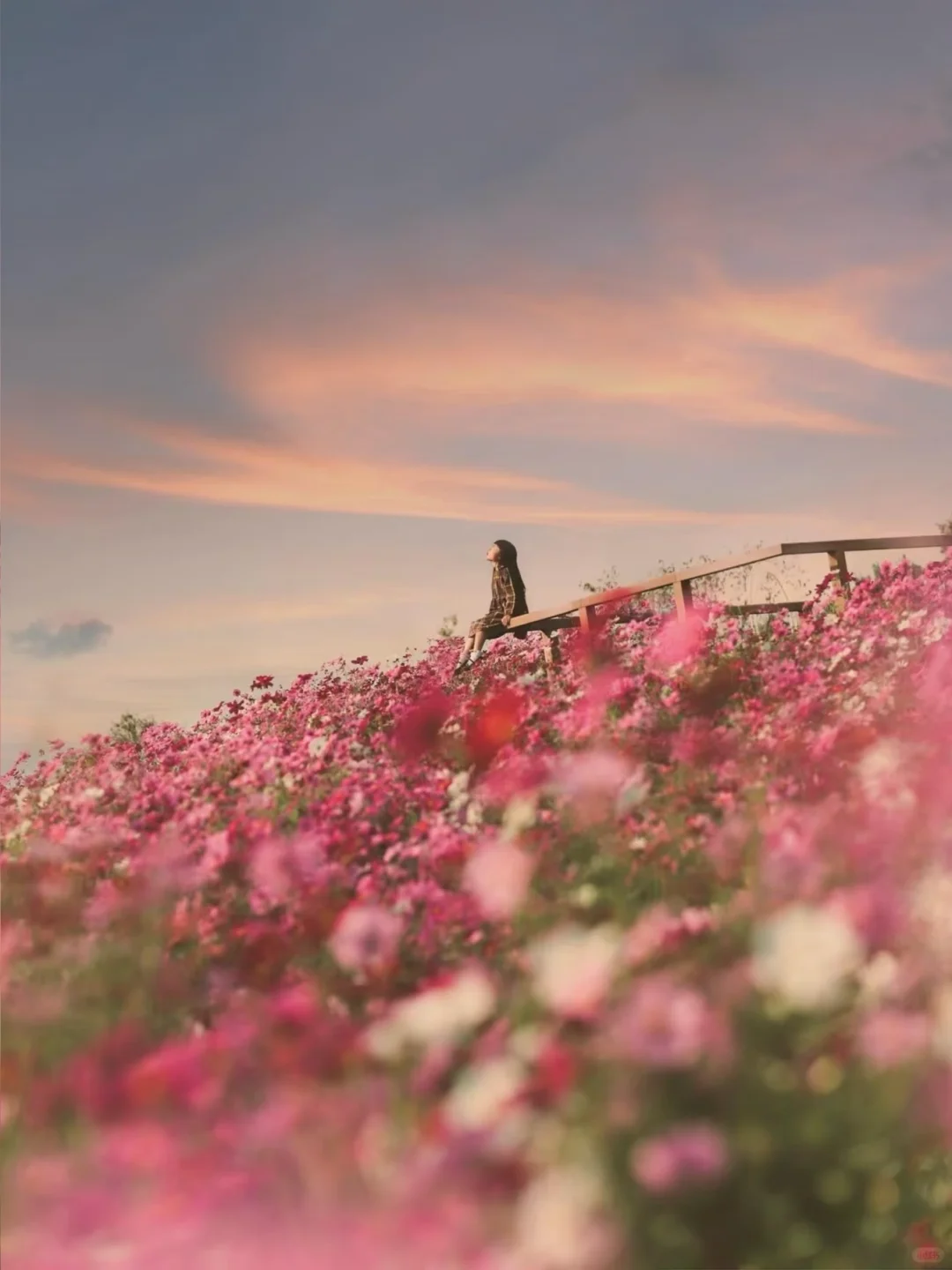 发明这个旅行APP的人配享太庙😭😭