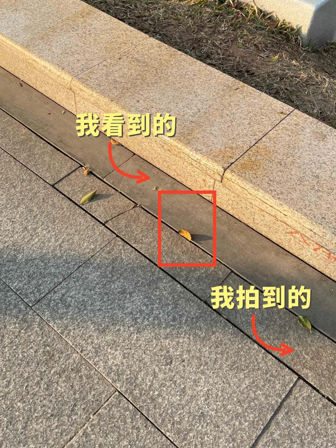 我看到的VS我拍到的｜如何拍出生活美的技巧