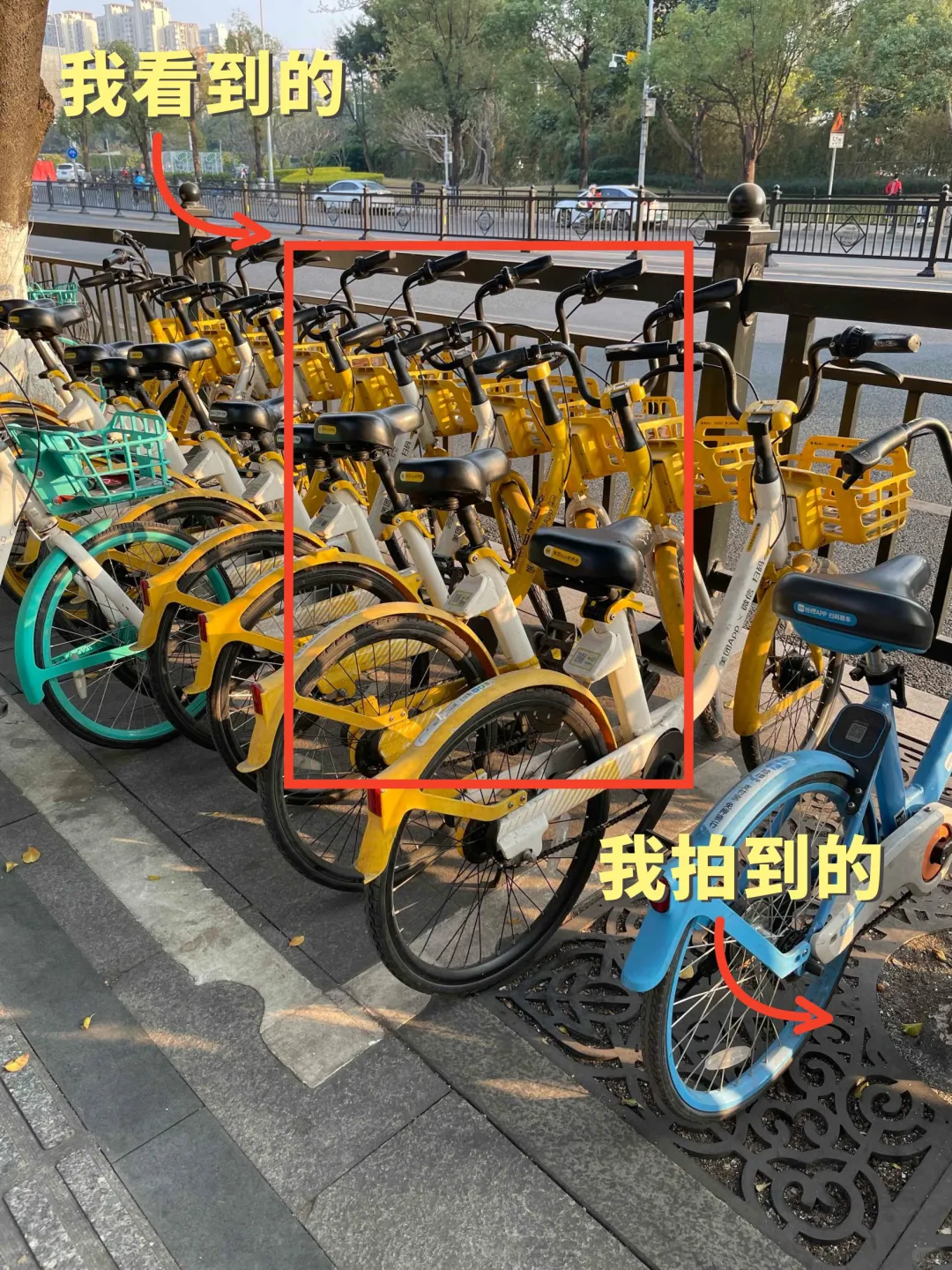 我看到的VS我拍到的｜如何拍出生活美的技巧