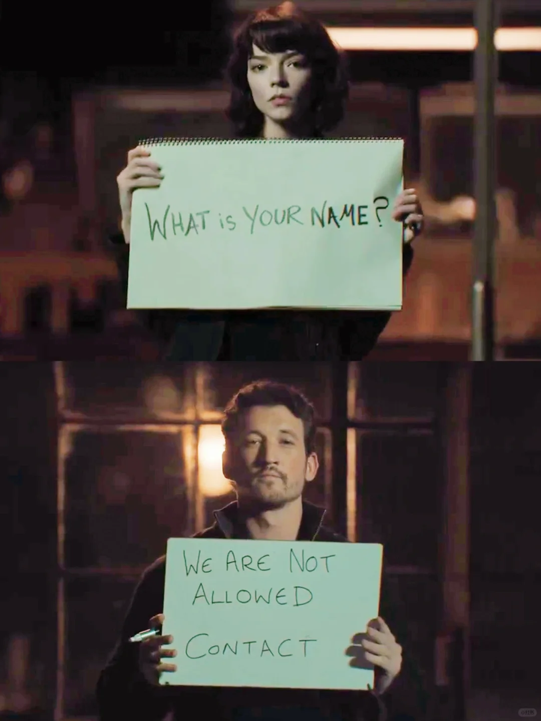 🍎这新片绝了‼️安雅泰勒不愧是世界顶流‼️