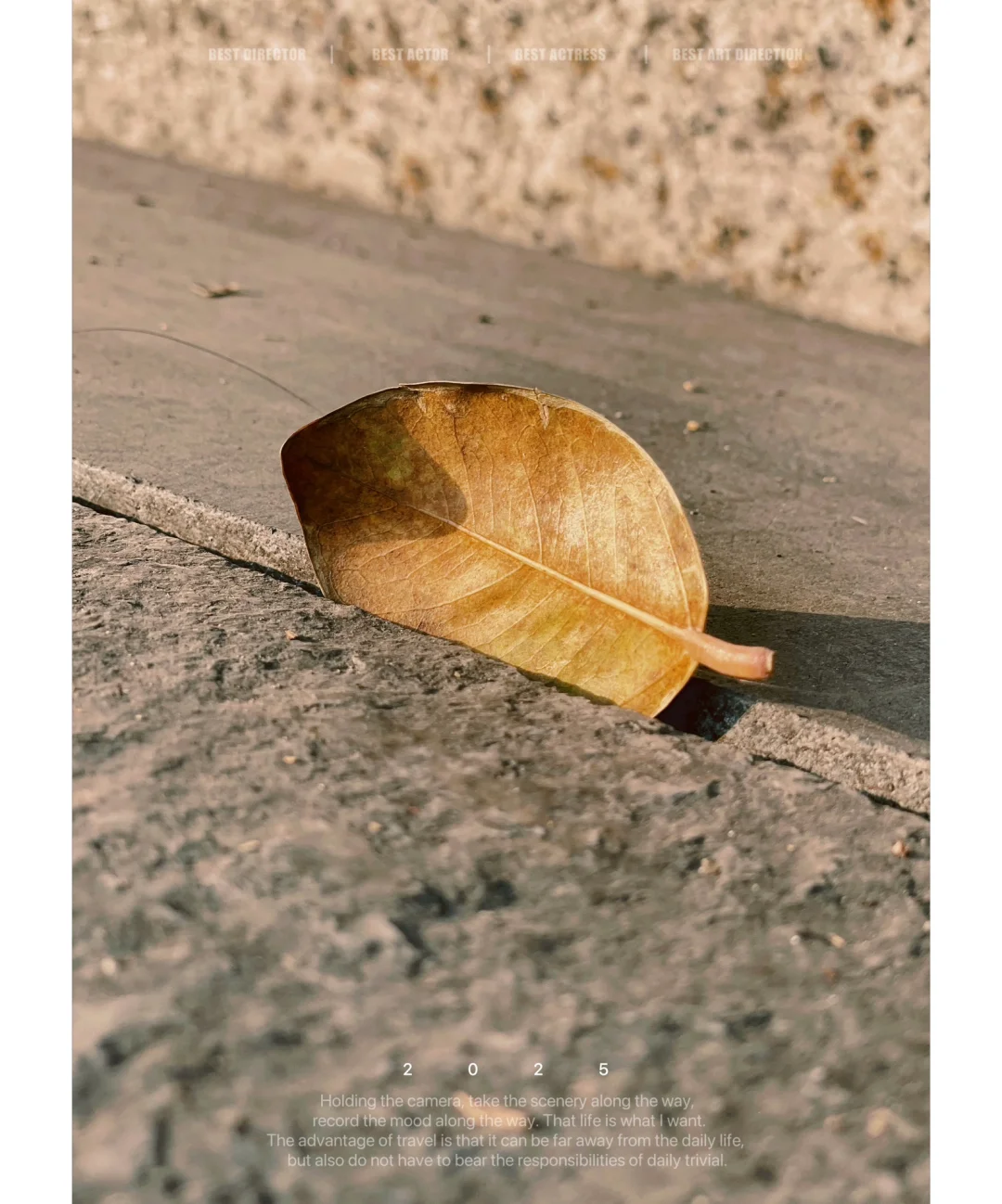 我看到的VS我拍到的｜如何拍出生活美的技巧