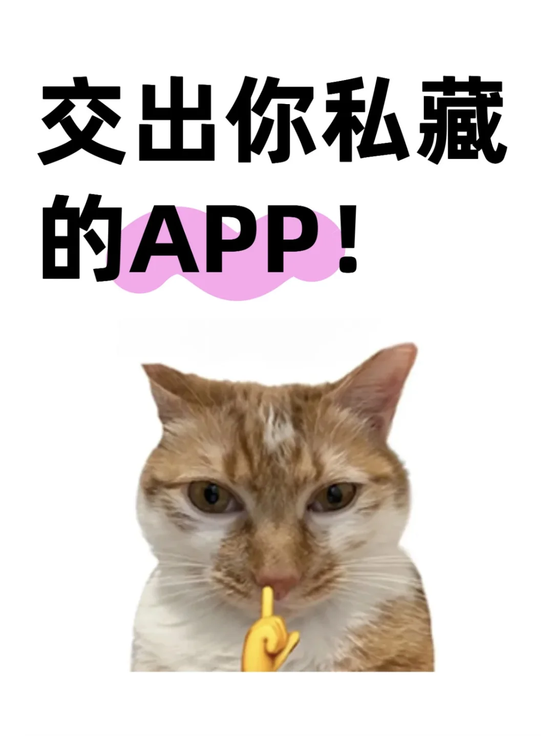 一人说一个你会一直用的app