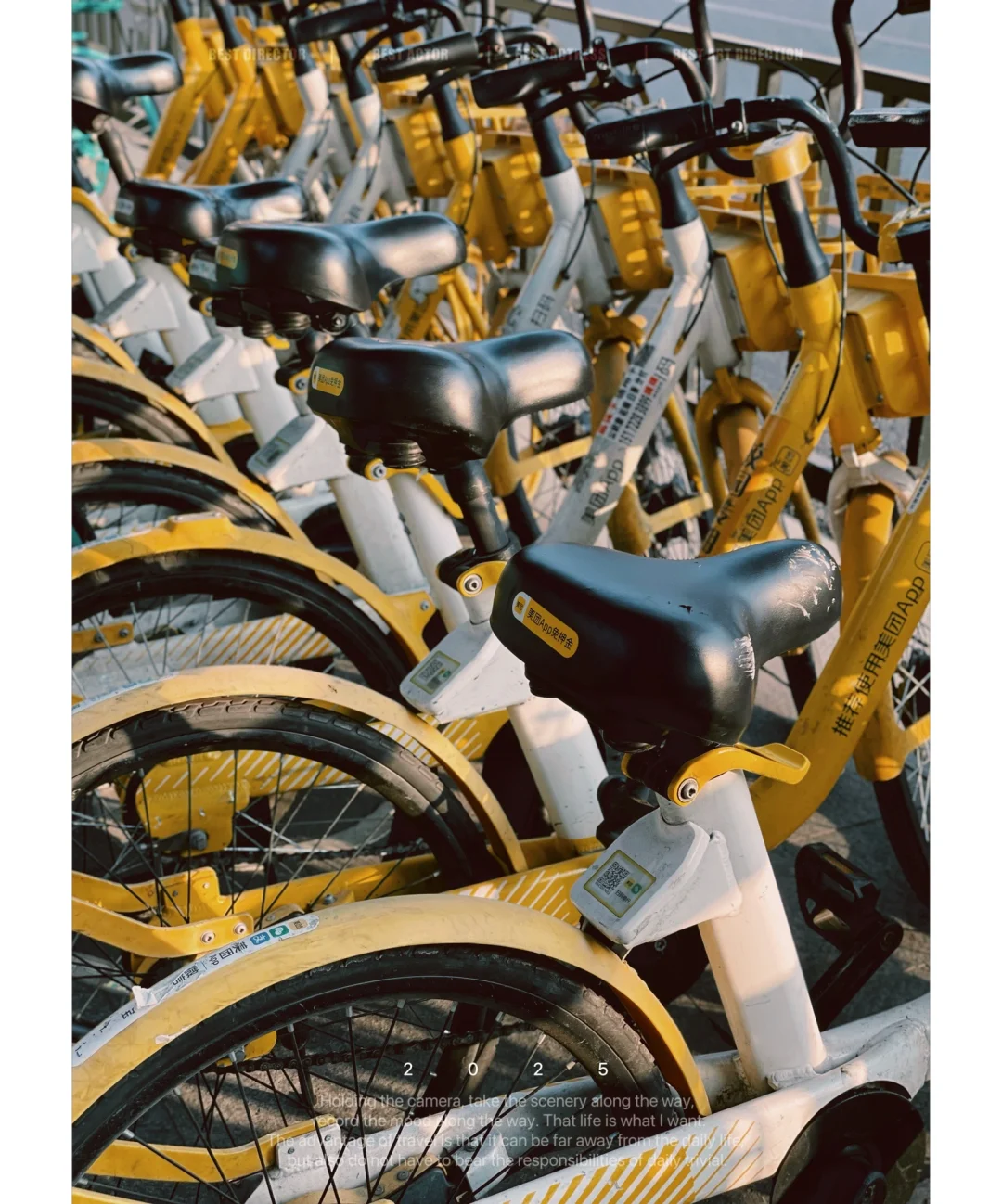 我看到的VS我拍到的｜如何拍出生活美的技巧