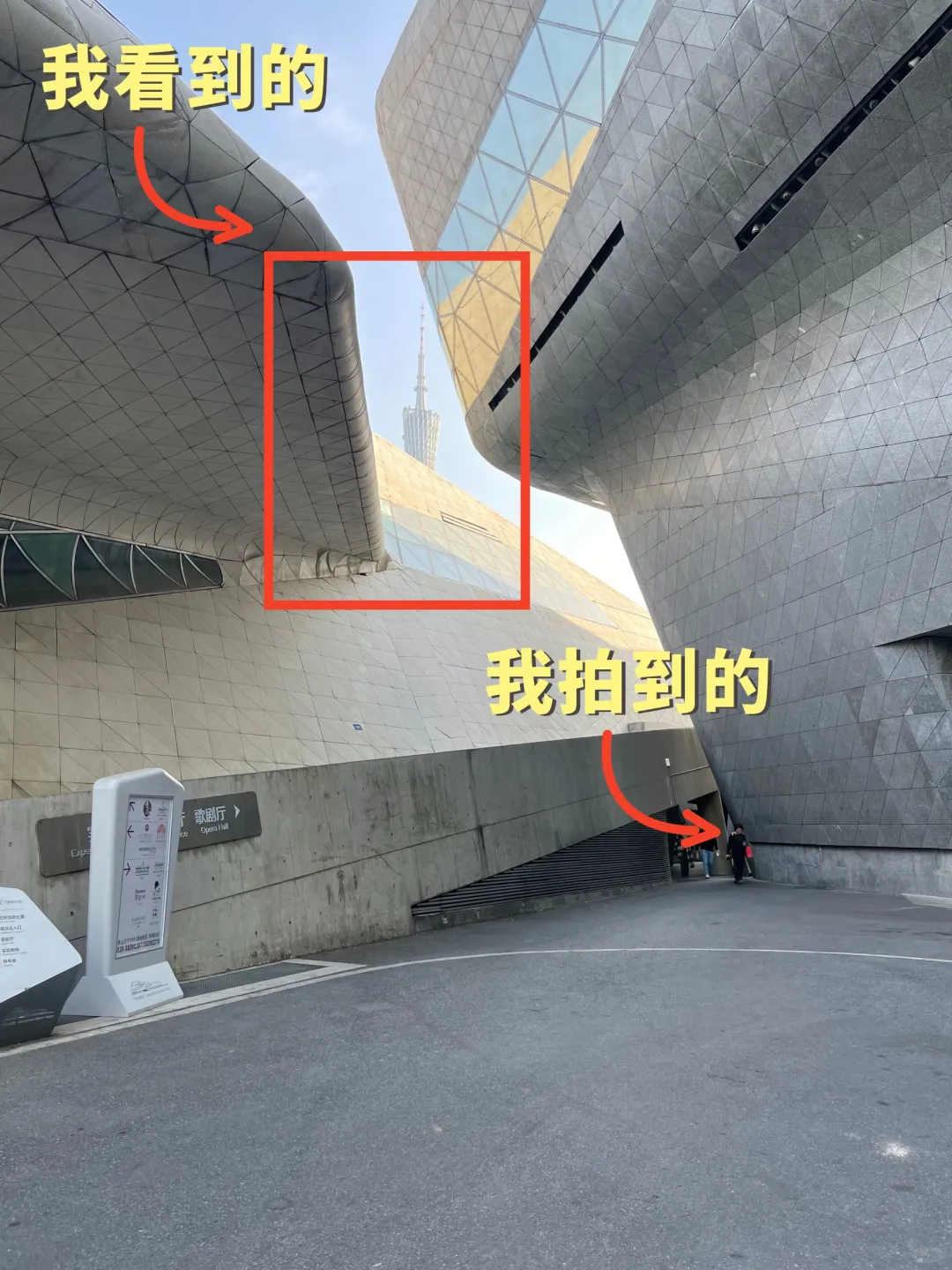 我看到的VS我拍到的｜如何拍出生活美的技巧