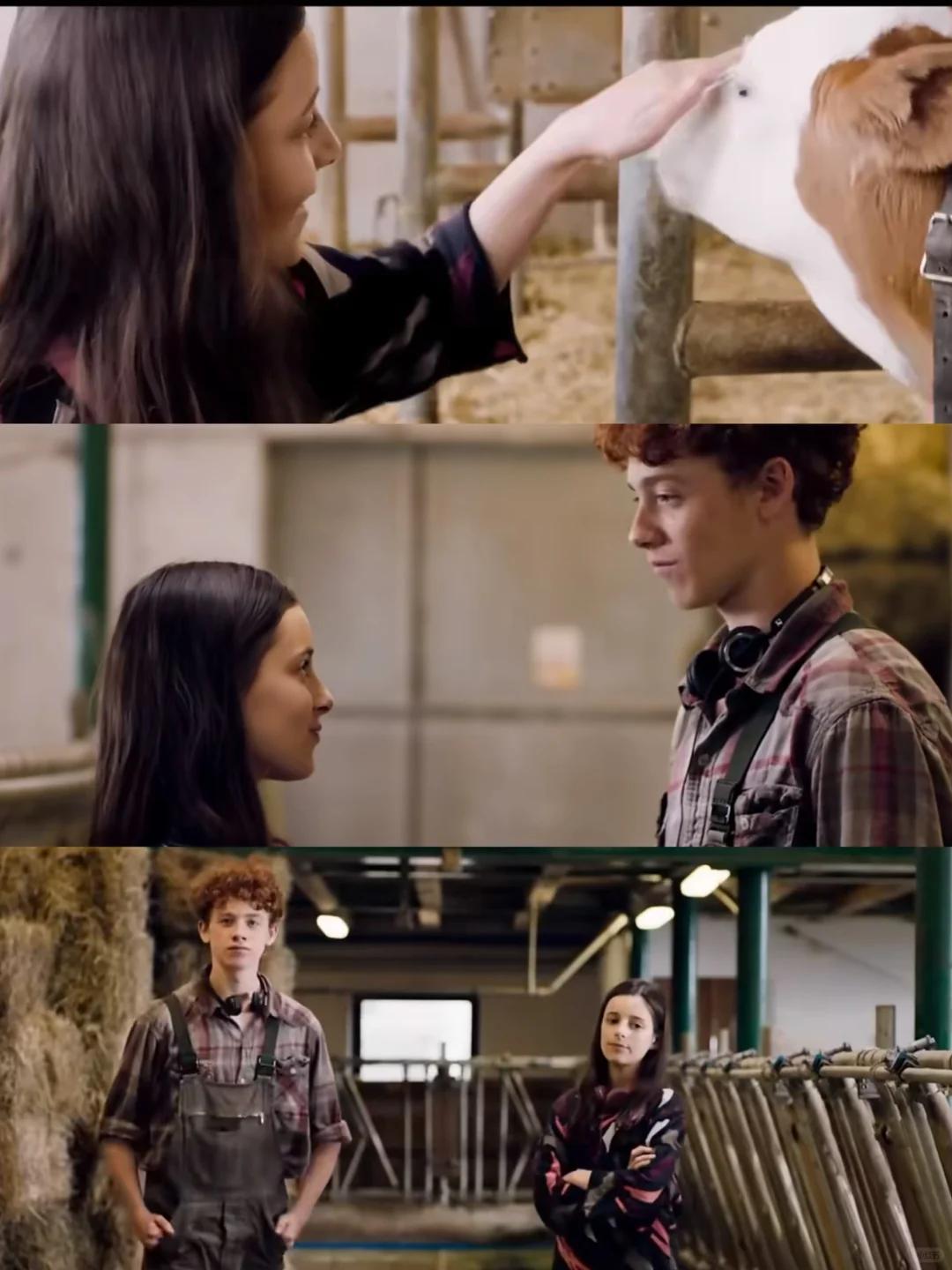 近期看过最好看的一部电影😭没有之一❗️❗️❗️