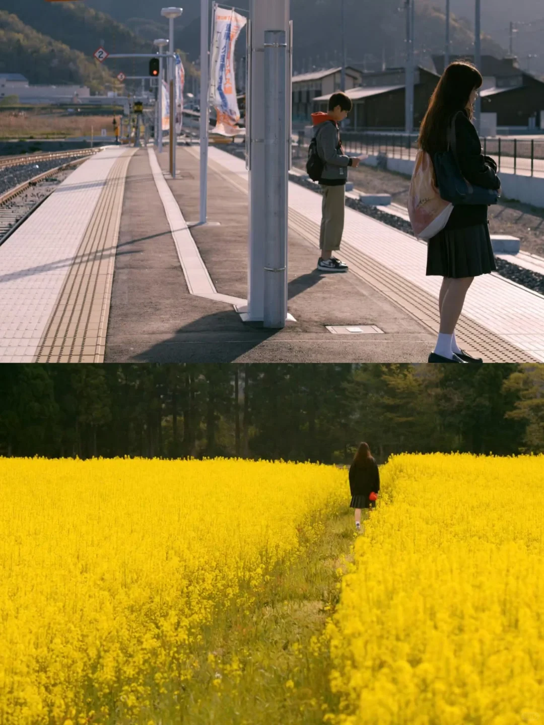 近期看过最好看的电影‼️哭到泪崩😭