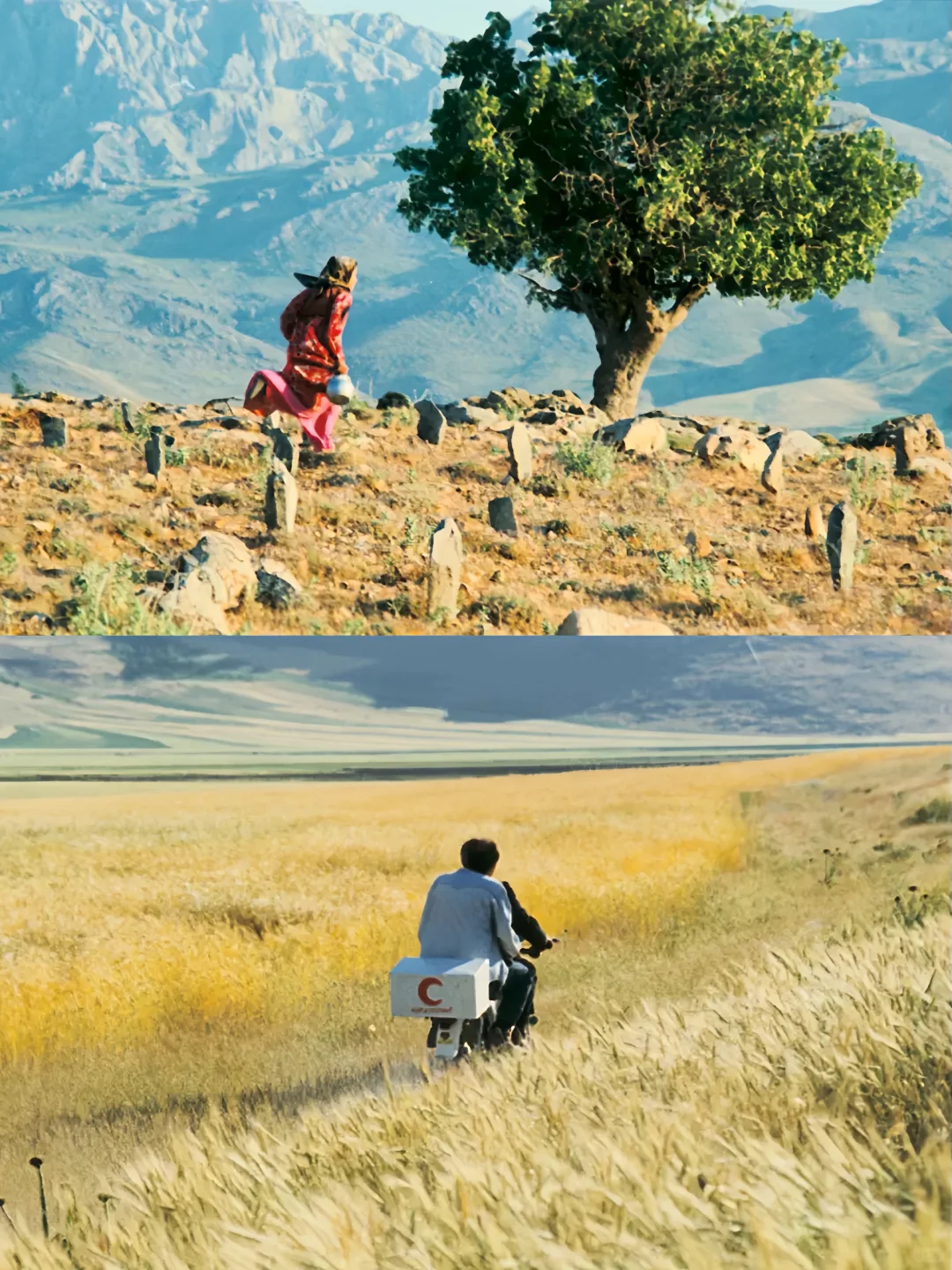 😭想告诉全世界这部电影真的太绝了‼️‼️