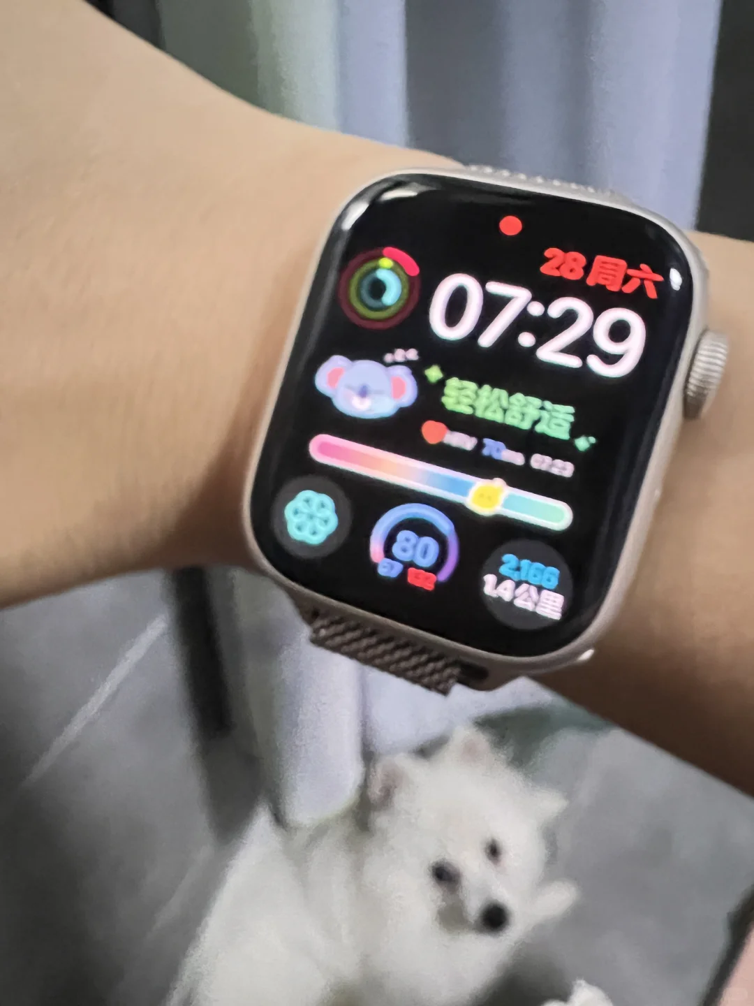 苹果手表压力测试哪个app更好用