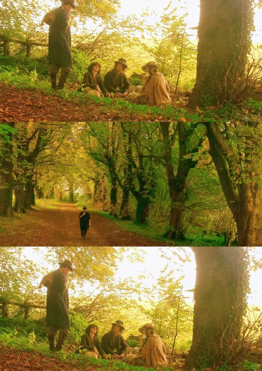 挚爱电影，排名NO.1🎬