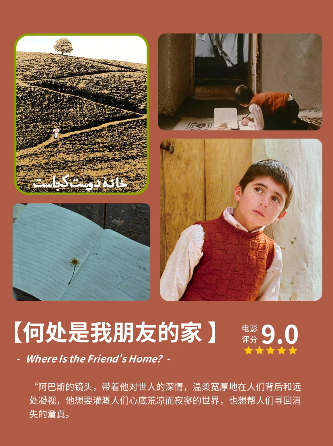 待业一年，被电影拯救的焦虑、孤独、伤痛瞬间