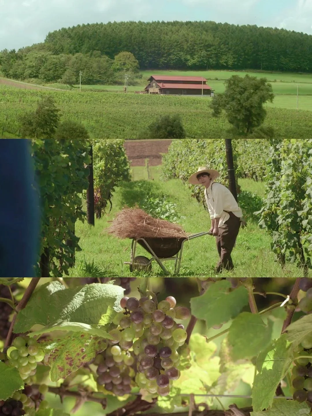 😭反复看了好几遍的电影‼️巨解压治愈❗